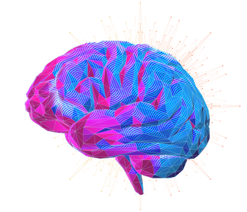 brain-header-sclub-1 brain-header-sclub-1