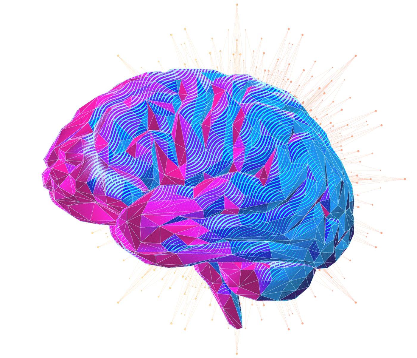 brain-header-sclub-1